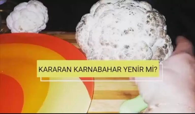 kararan karnabahar