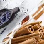 Koku Kesesi Yapımı