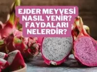 ejder meyvesi nasıl yenir